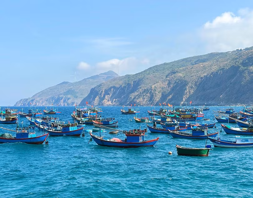 Hình 5 - Quy Nhơn.jpg