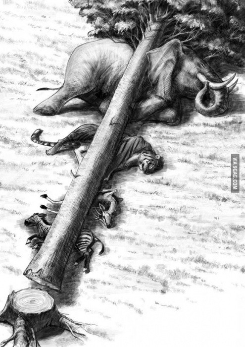 10 bức ảnh giá trị hơn vạn lời nói ảnh 5