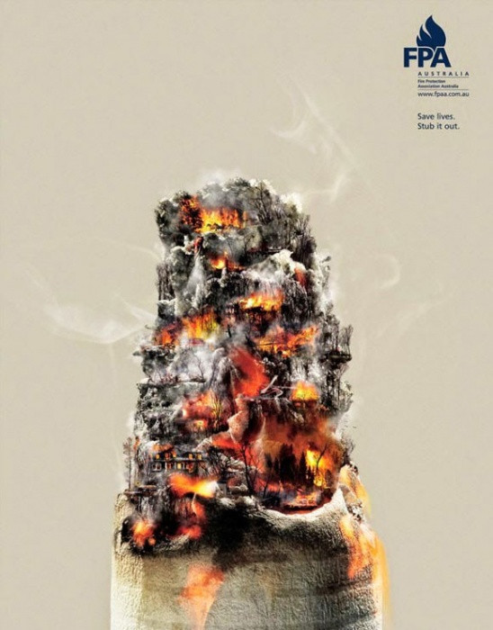 10 bức ảnh giá trị hơn vạn lời nói ảnh 8