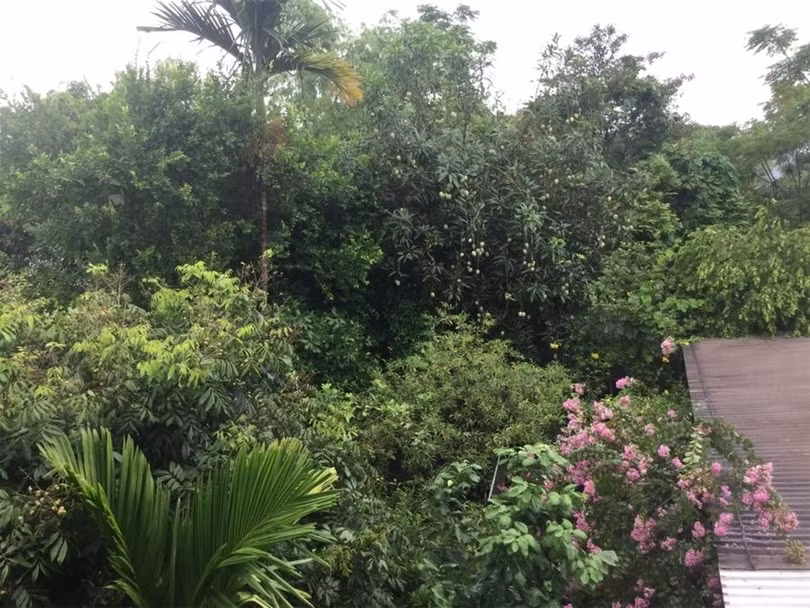 "Một ngày ở Việt Nam" khiến cộng đồng mạng thế giới... "phát sốt" ảnh 13