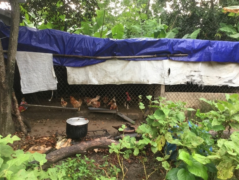 "Một ngày ở Việt Nam" khiến cộng đồng mạng thế giới... "phát sốt" ảnh 37