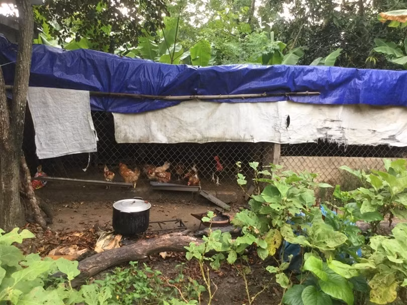 "Một ngày ở Việt Nam" khiến cộng đồng mạng thế giới... "phát sốt" ảnh 37