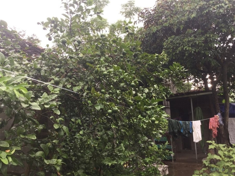 "Một ngày ở Việt Nam" khiến cộng đồng mạng thế giới... "phát sốt" ảnh 39