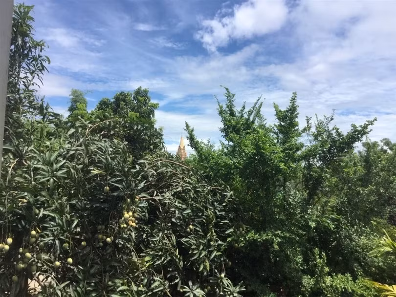 "Một ngày ở Việt Nam" khiến cộng đồng mạng thế giới... "phát sốt" ảnh 29