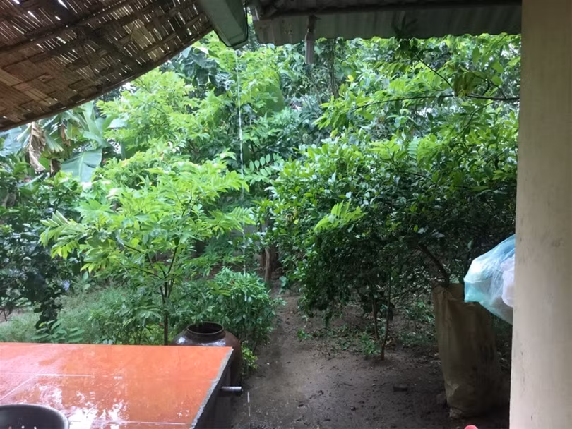 "Một ngày ở Việt Nam" khiến cộng đồng mạng thế giới... "phát sốt" ảnh 30