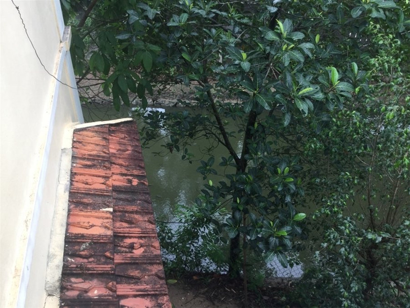 "Một ngày ở Việt Nam" khiến cộng đồng mạng thế giới... "phát sốt" ảnh 12