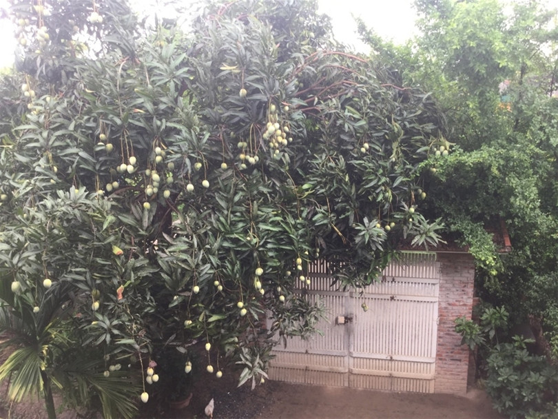 "Một ngày ở Việt Nam" khiến cộng đồng mạng thế giới... "phát sốt" ảnh 11