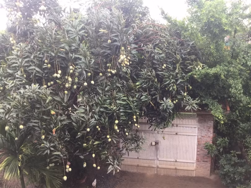 "Một ngày ở Việt Nam" khiến cộng đồng mạng thế giới... "phát sốt" ảnh 11