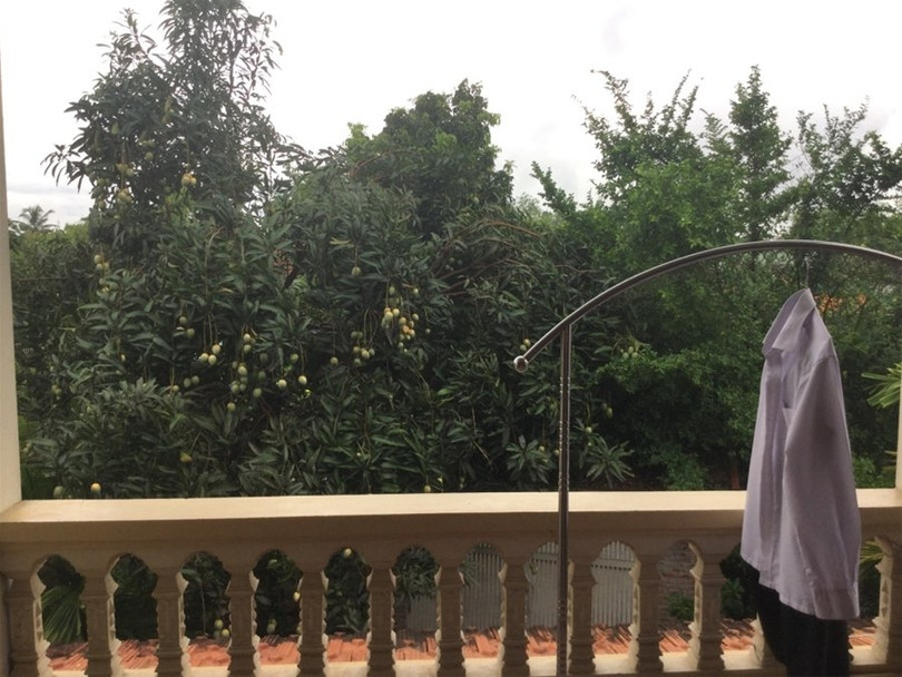 "Một ngày ở Việt Nam" khiến cộng đồng mạng thế giới... "phát sốt" ảnh 10