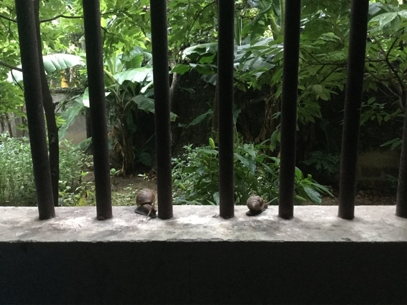 "Một ngày ở Việt Nam" khiến cộng đồng mạng thế giới... "phát sốt" ảnh 2