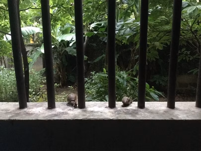 "Một ngày ở Việt Nam" khiến cộng đồng mạng thế giới... "phát sốt" ảnh 2