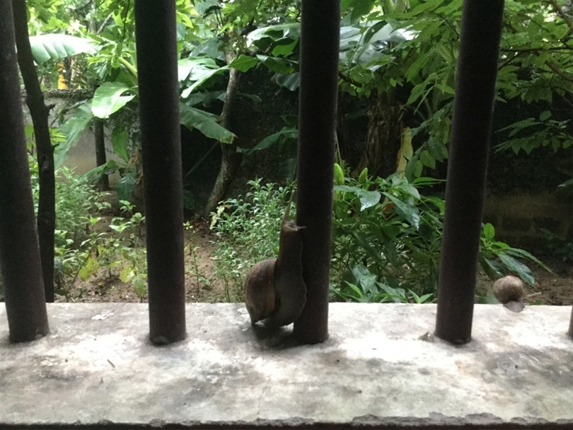 "Một ngày ở Việt Nam" khiến cộng đồng mạng thế giới... "phát sốt" ảnh 3