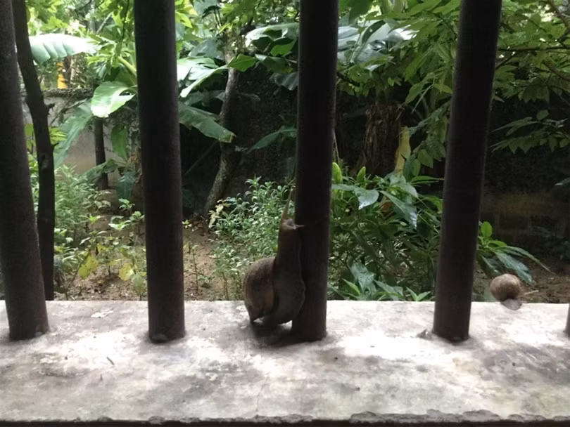 "Một ngày ở Việt Nam" khiến cộng đồng mạng thế giới... "phát sốt" ảnh 3