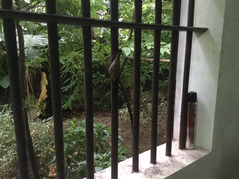 "Một ngày ở Việt Nam" khiến cộng đồng mạng thế giới... "phát sốt" ảnh 4