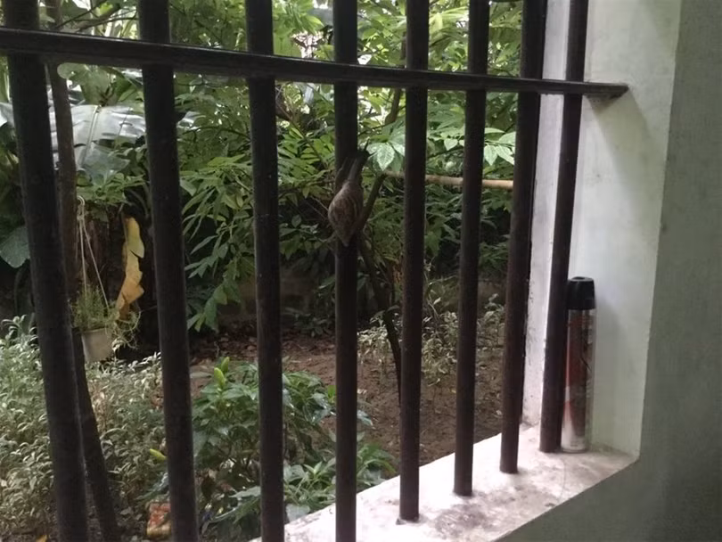 "Một ngày ở Việt Nam" khiến cộng đồng mạng thế giới... "phát sốt" ảnh 4