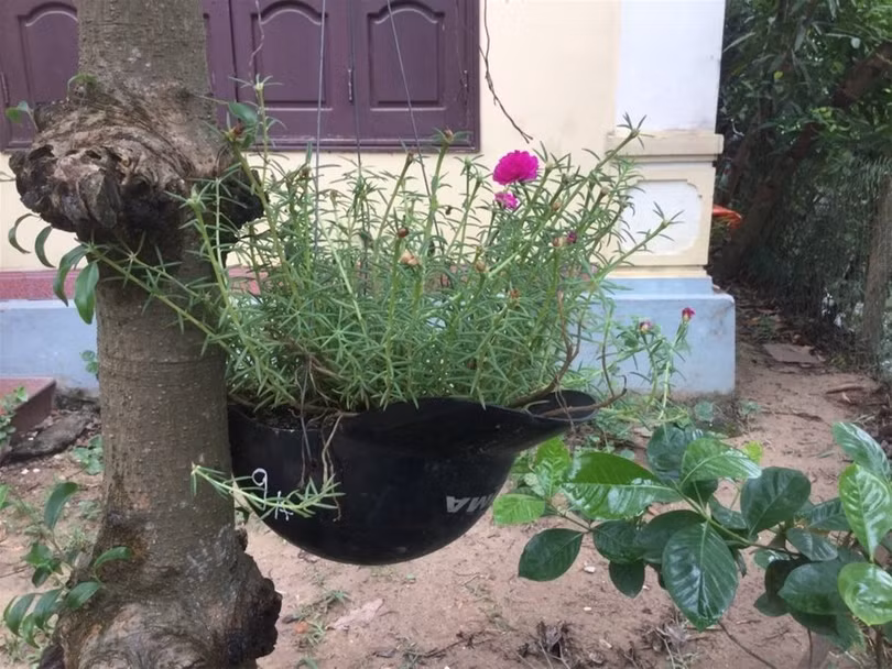 "Một ngày ở Việt Nam" khiến cộng đồng mạng thế giới... "phát sốt" ảnh 21