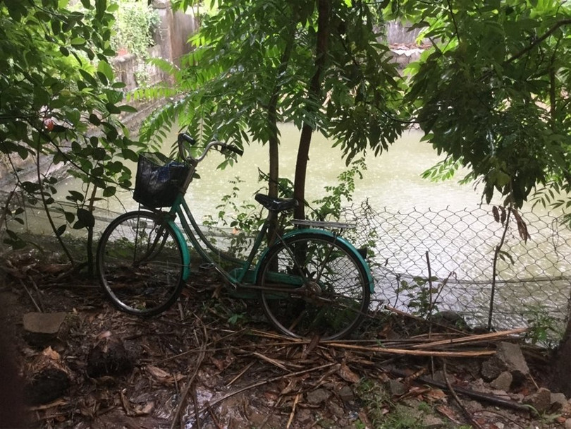 "Một ngày ở Việt Nam" khiến cộng đồng mạng thế giới... "phát sốt" ảnh 32