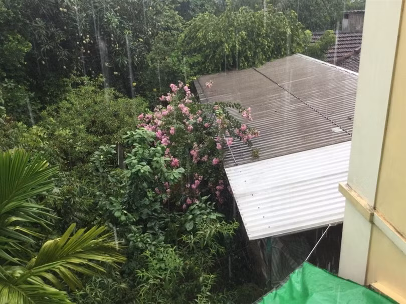 "Một ngày ở Việt Nam" khiến cộng đồng mạng thế giới... "phát sốt" ảnh 31