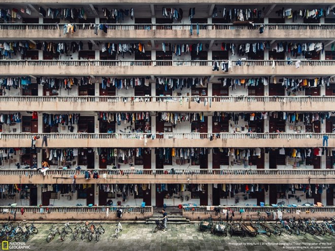 Ấn tượng những bức ảnh đoạt giải National Geographic 2016 ảnh 8