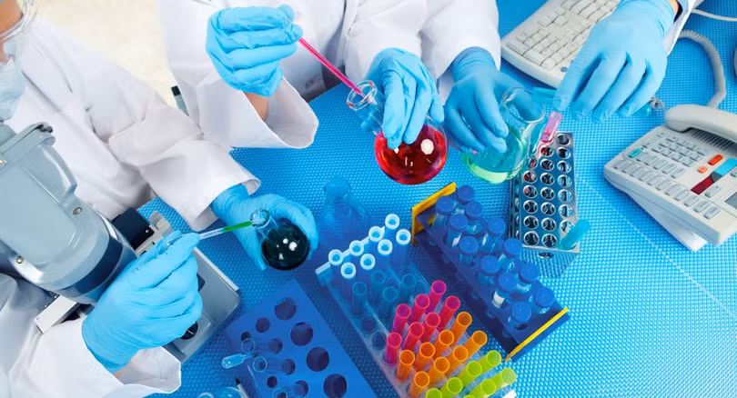 Nhật Bản nuôi cấy gan mini