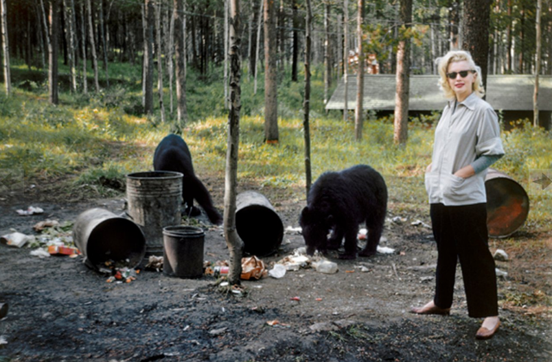 7 bức ảnh chưa từng công bố của minh tinh bạc mệnh Marilyn Monroe ảnh 6