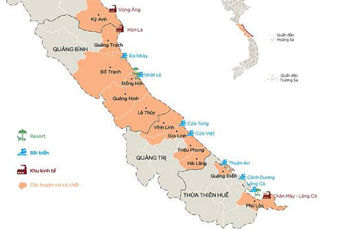 Cá chết hàng loạt: Chuyên gia phản bác nguyên nhân thuỷ triều đỏ ảnh 2