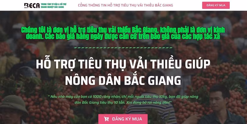 Cổng thông tin hỗ trợ tiêu thụ vải thiều do hiệp hội Doanh nghiệp tỉnh Bắc Giang xây dựng.