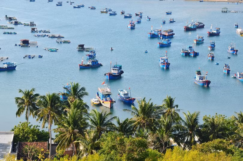 Mê mẩn 5 vịnh biển miền Trung còn rất hoang sơ ảnh 15