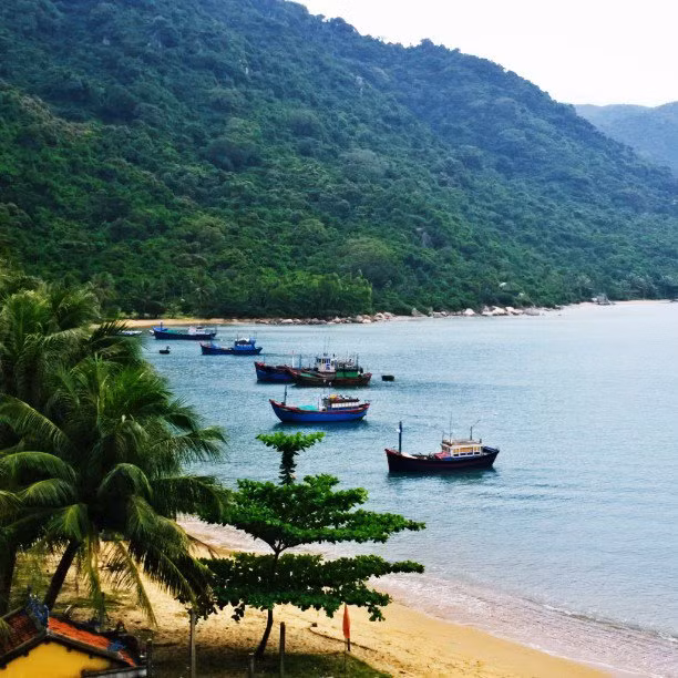 Mê mẩn 5 vịnh biển miền Trung còn rất hoang sơ ảnh 1