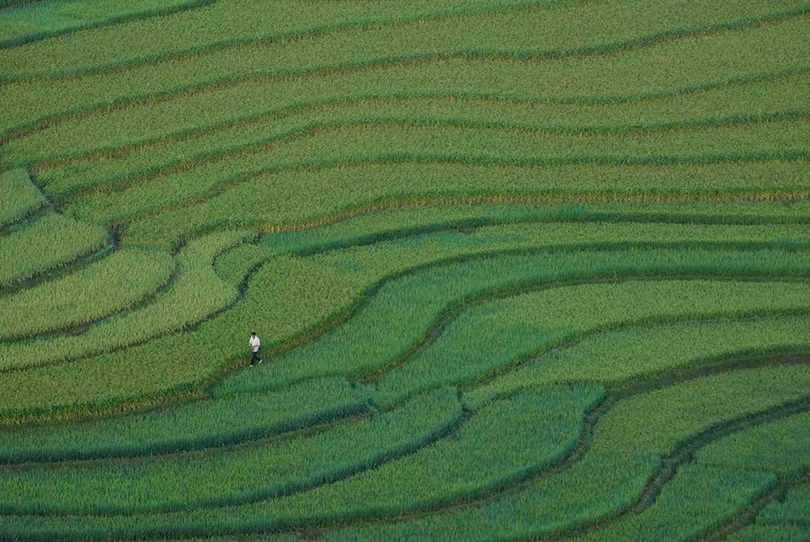 Việt Nam tuyệt đẹp trên Photography Life ảnh 11