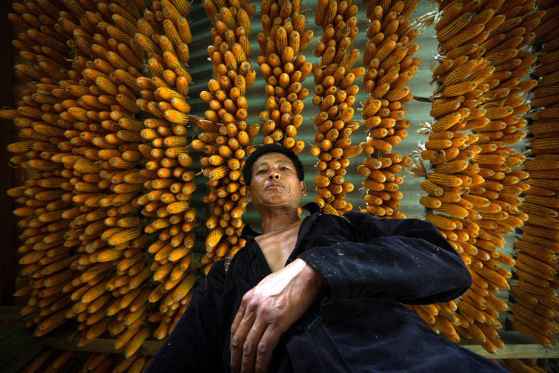 Việt Nam tuyệt đẹp trên Photography Life ảnh 7