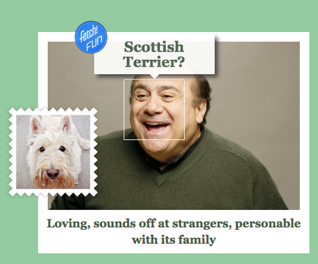 'Cười rơi hàm' với ứng dụng “Bạn là loài chó nào?“