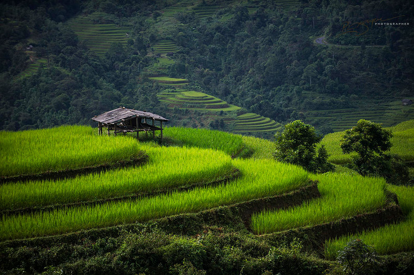 Việt Nam tuyệt đẹp trên Photography Life ảnh 3