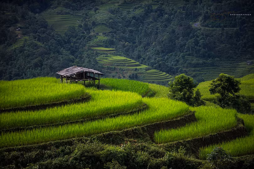 Việt Nam tuyệt đẹp trên Photography Life ảnh 3