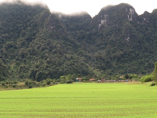 can canh vung dat 'tien' o viet nam se quay 'king kong' hinh anh 3