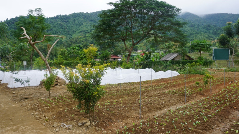 Mô hình Vườn rau thông minh do VNPT Technology thiết kế và lắp đặt tại xã Bum Nưa, với các cảm biến theo dõi và các hệ thống hỗ trợ như chiếu sáng, tưới nước tự động…