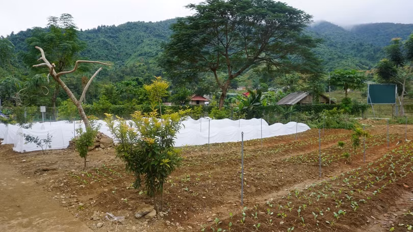 Mô hình Vườn rau thông minh do VNPT Technology thiết kế và lắp đặt tại xã Bum Nưa, với các cảm biến theo dõi và các hệ thống hỗ trợ như chiếu sáng, tưới nước tự động…