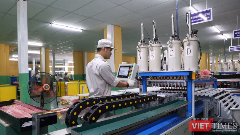 vt_day chuyen rang Dong.jpg