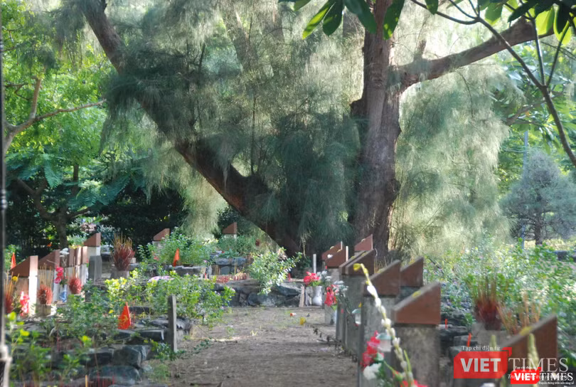 Trong số bạt ngàn hơn 20 ngàn ngôi mộ liệt sĩ ở nghĩa trang Hàng Dương, chỉ có 1.283 ngôi có bia mộ.