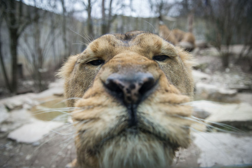 Ấn tượng trong tuần: Trẻ tị nạn, thời trang nội y và “ở truồng” trượt tuyết ảnh 2