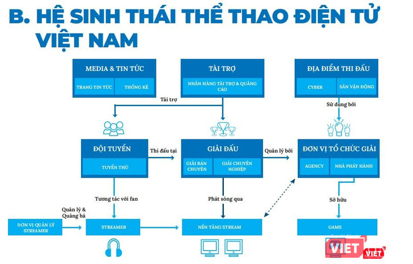 Hệ sinh thái thể thao điện tử tại Việt Nam (theo Sách trắng thể thao điện tử Việt Nam 2021).