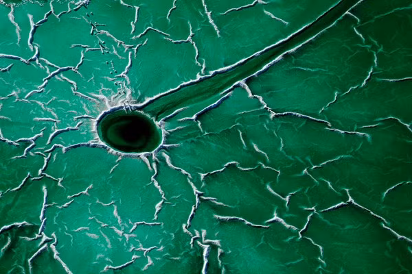 Việt Nam giành giải thưởng nhiếp ảnh du lịch ấn tượng ảnh 1