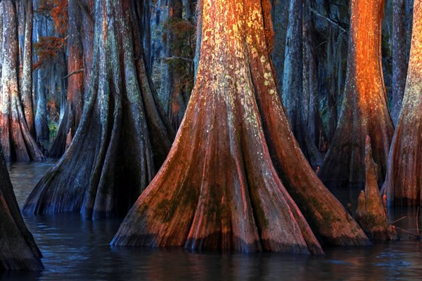 Việt Nam giành giải thưởng nhiếp ảnh du lịch ấn tượng ảnh 14