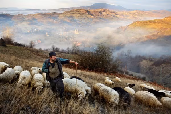 Việt Nam giành giải thưởng nhiếp ảnh du lịch ấn tượng ảnh 17
