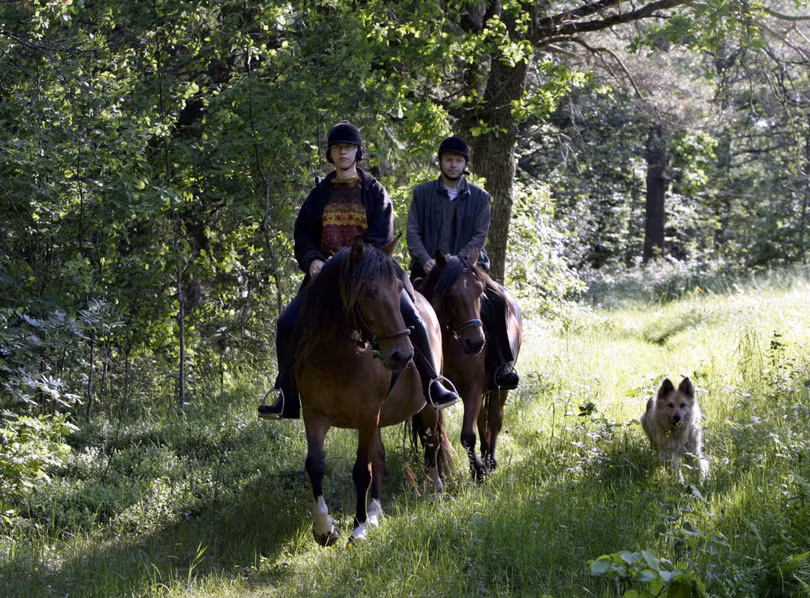 10 khu rừng kỳ lạ nhất thế giới ảnh 7