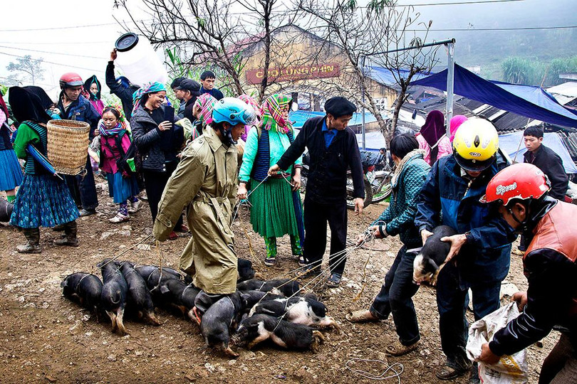 Tác phẩm “Chợ Lũng Phìn” của tác giả Trần Văn Túy
