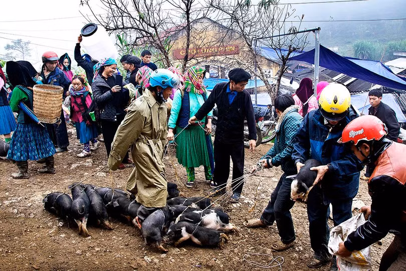Tác phẩm “Chợ Lũng Phìn” của tác giả Trần Văn Túy