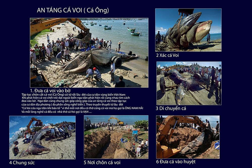 Tác phẩm “An táng cá voi” của tác giả Đỗ Hữu Tuấn