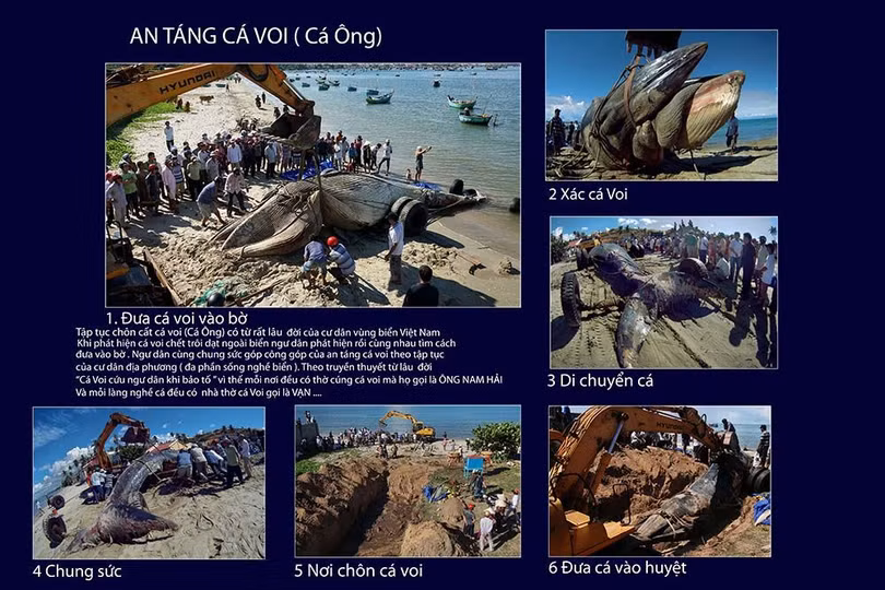 Tác phẩm “An táng cá voi” của tác giả Đỗ Hữu Tuấn