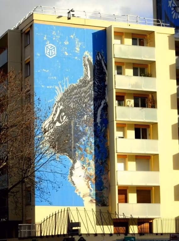 Ảnh tranh tường ở Paris (Pháp) do tác giả chụp.